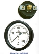 Ø 100 mm Hassas Standart Manometre (Arkadan Bağlantılı Panotip)