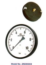 Ø 250 mm Hassas Standart Tip Basınç Ölçer (Arkadan Bağlantılı Panotip)